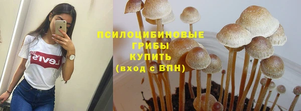 наркотики Медвежьегорск