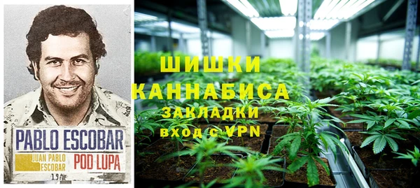 спайс Мегион