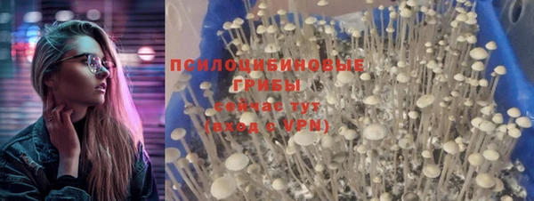 спиды Ачинск