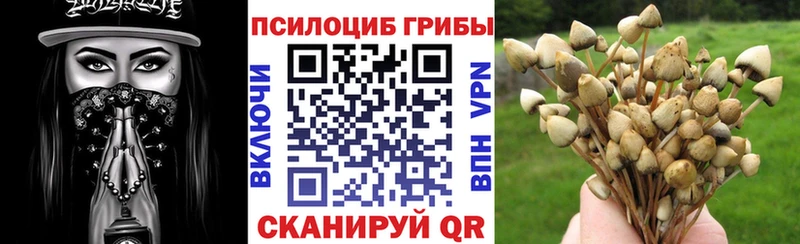 закладка кракен Галлюциногенные грибы ЛСД Елизаветинская